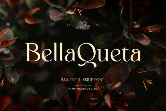 Bella Queta: The Serif Font That Elevates Brands