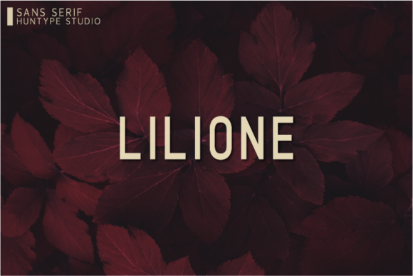 Lilione: A Clean Sans Serif Font for Web Design