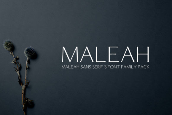 Maleah: The Elegant Sans Serif Font for Clear Campaigns