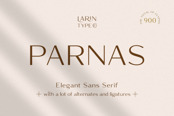 Parnas Sans: A Polished Typeface for Small Brands