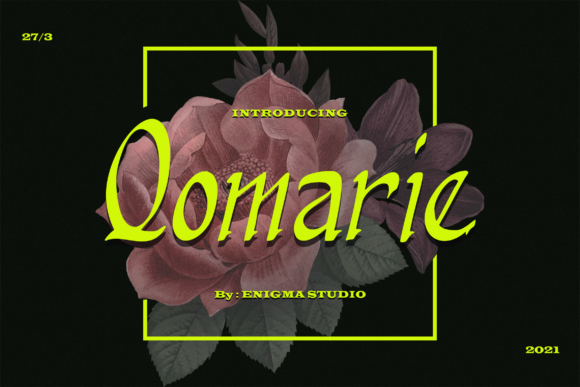 Qomarie: A Versatile Serif Font for Web Design