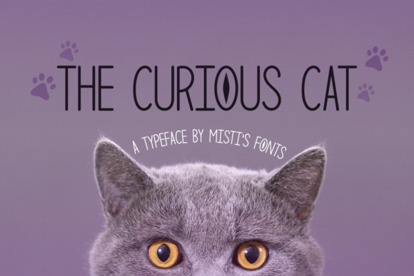 The Curious Cat: A Refined Sans Serif for Editorial Design